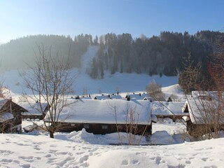 Winter-Blick vom Garten