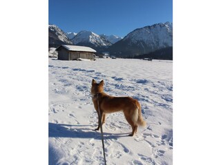 Winterspaß