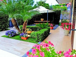 Flower-filled garden with palm trees