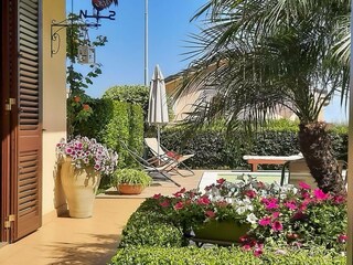 Blooming terrace in the sunshine