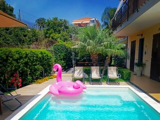 Pool with flamingo float and loungers
