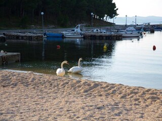 Apartamento Drage, Adria Grabación al aire libre 5
