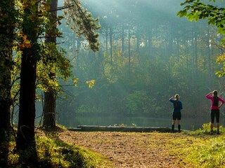 Chalet Nieuw-Haamstede Environnement 25