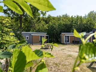 Chalet Nieuw-Haamstede Environment 30