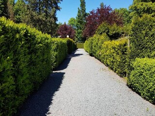 Casa per le vacanze Uddel Ambiente 28