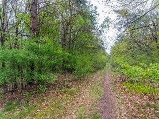 Ferienhaus Uddel Umgebung 29