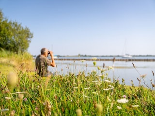 Ferienpark Scharendijke Umgebung 24