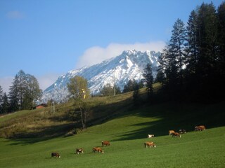 Impressionen bei Rundweg vom Haus