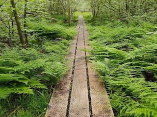 Apartment Hals Außenaufnahme 9