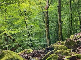 Holiday house Åhus  25