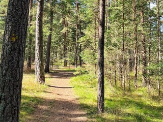 Holiday house Åhus  21