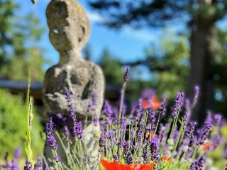 Ferienhaus Åhus  30