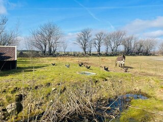 Ferienhaus Glemmingebro Außenaufnahme 3