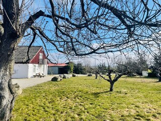 Holiday house Glemmingebro Outdoor Recording 8