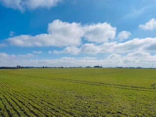 Ferienhaus Glemmingebro Außenaufnahme 12