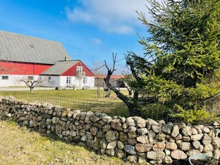 Ferienhaus Glemmingebro Außenaufnahme 14