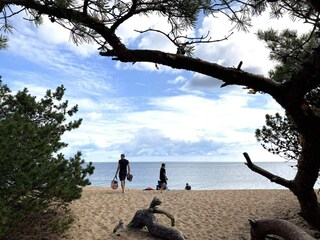 Ferienhaus Glemmingebro Außenaufnahme 15