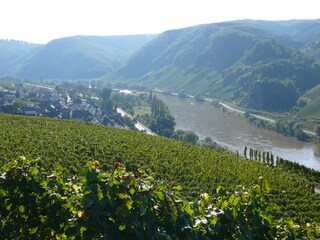 Landschaft