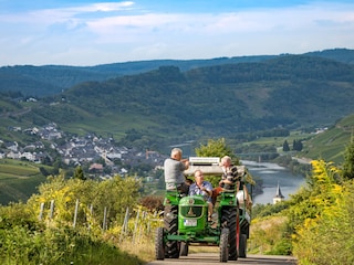 Weinprobe