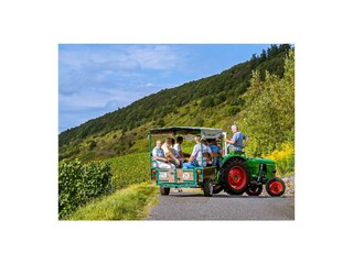 Weinprobe