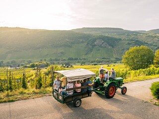 Weinprobe