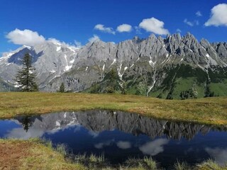 Umgebung Gut Stein