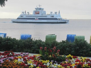 Ferienwohnung Wyk auf Föhr Umgebung 32
