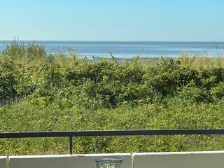 Ferienwohnung Wyk auf Föhr Außenaufnahme 8