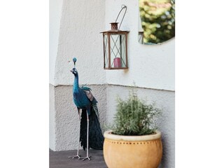 260710-villa-oxa3397
