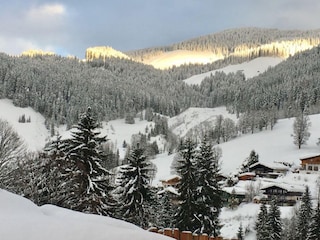 Handleralm Talblick