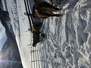 Erste Begegnung mit dem Schnee, der Kleine