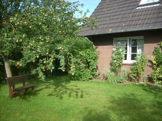 Garten mit Apfelbaum