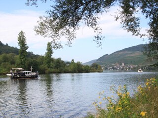 Apartamento de vacaciones Zell Mosel Entorno 18