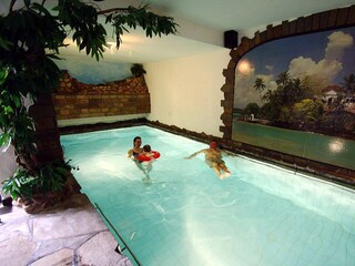 Apartamento de vacaciones Zell Mosel Entorno 15