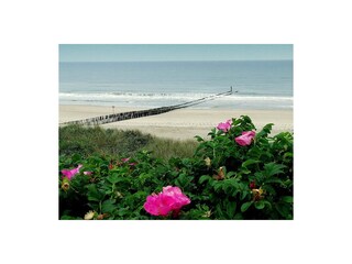 Appartamento per vacanze Domburg Ambiente 17