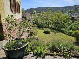 FeWoLuhrbach_Garten 1