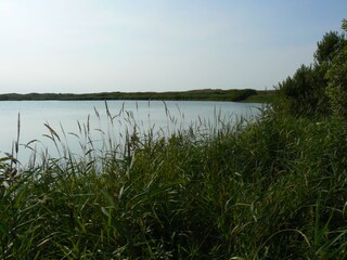 Casa per le vacanze Callantsoog Ambiente 20