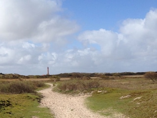 Reitweg durch die Dünen