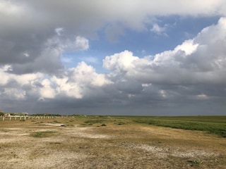 Hundewiese der Insel