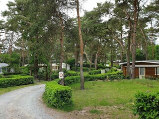 Chalet Mol Environment 15