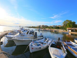 Parco vacanze Polača Ambiente 26