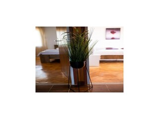 Appartement Seline  58