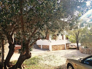 Apartment Starigrad Außenaufnahme 15
