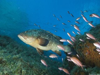 Villa Pietrosella Umgebung 27