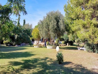 Villa Pietrosella Outdoor Recording 9