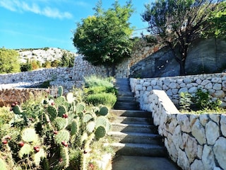 Apartment Barić Draga Außenaufnahme 17