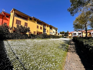 Apartment Numana Outdoor Recording 5