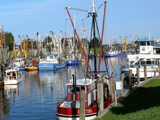 Greetsieler Hafen
