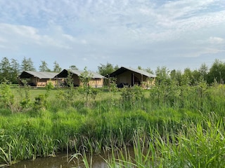 Ferienhaus De Veenhoop Außenaufnahme 4