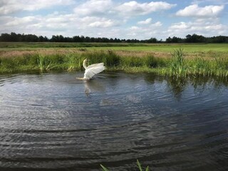 Holiday house De Veenhoop Environment 35